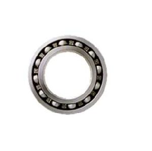 6021 Deep Groove Ball Bearing