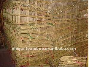 bamboo trellis supporting flower plant nursery