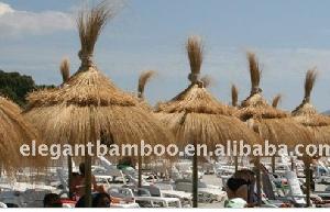 Beach Sunshade Parasol And Umbrella