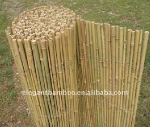 Rolled Bamboo Fence