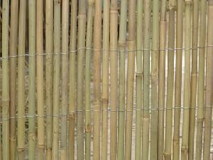 Tonkin Bamboo Fence