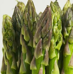 asparagus extract powder export