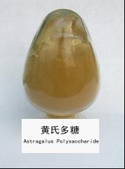 We Sell Astragalus Extract For Export