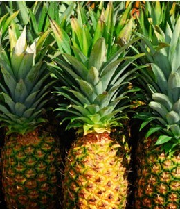 bromelain export