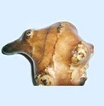 jerusalem artichoke extract export