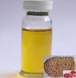 pomegranate seed oil export