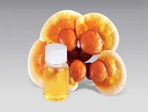 reishi mushroom spore oil export