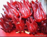 roselle extract export