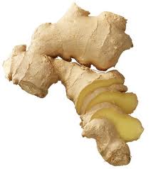 zingiber zerumbet extract export