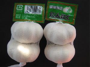 China Fresh Pure White Garlic