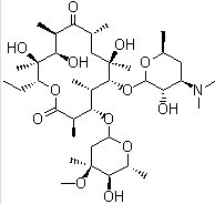 Erythromycin White Powder