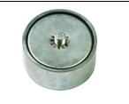 Iveco Tensioner Pulley 504065878 4897031 2831113 0 4897031 00 4897031