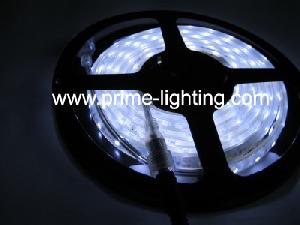 Waterproof Flexible Smd3528 Led Strips, 5meters / Piece