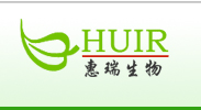 Dandelion Plant Extract-huir