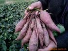 Purple Sweet Potato