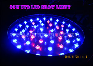 led grow light