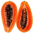 Papaya Extract Huir