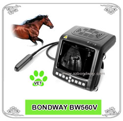 Veterinary Ultrasound Scanner Diagnostic Ultrasound Imaging Device-diagnostic Device