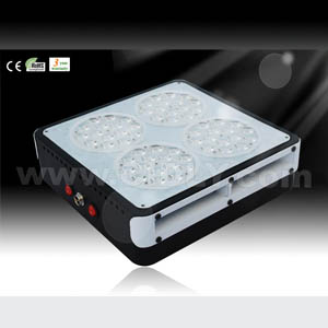 apollo led grow light 60x3w