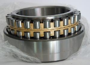 Tgu Bearing Double Row Cylindrical Roller Bearing China