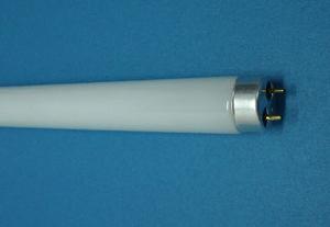 Fluorescent Tube Lamp F32t8-841 With Triphosphor Powder