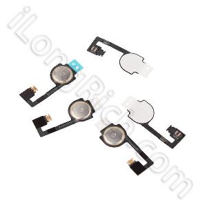 Iphone 4s Home Button Flex Cable Replacement