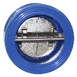 Check Valve