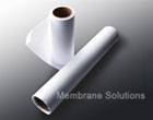 Blotting Membrane