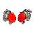 Earrings Ec82