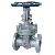 Cast Steel Gate Valve