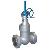 Pressure-seal Gate Valve