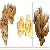 Ginger-fresh Ginger And Dehydrated Ginger