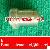 Undersell Inventory Niigata M28x Oil Injection Nozzle Dlf130t388, 6pcs