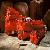 Dth Drilling Tools