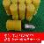 Undersell Inventory Pielstick Pc2-5l Plunger, 141154-2720, 4pcs