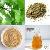 Plant / Herbal Extract / Hericium Erinaceus Extract