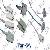 Pansw All Kinds Of Spo2 Sensors, Cables, Probes , Ecg, Spot2, Bp Expert, Wholesale Or Retail