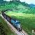 Sea Freight, Shipping From Singapore, Malaysia, Indonesia, Australia, Us, India, Iran To China