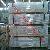 Electro-galvanized Square Welded Wire Mesh