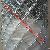 Galvanzied And Pvc Coated Chain Link Fence