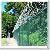 Razor Barbed Wire