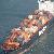 Shipping From China To Usa Can Do Everything, Pick Up , Sea Freight, Delivery To Door