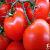 Lycopene / Tomato Extract