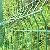 Sell Wire Mesh Fence