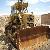 Cat Bulldozer D7g Good Conditons