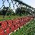 Chain Link Fencing For Commercial Use