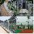 Galvanized Chain Link Fencing 87