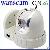 2 Megapixel High Definition Wpa Wireless Ip Camera