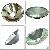 Operating Light Lamp Glass Reflector 140mm 160mm 500mm 700mm