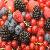 Mixed Berry Powder